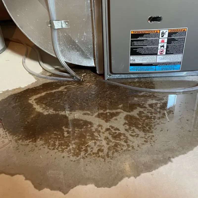 Pipe Burst and Leak Restoration in Pen Argyl, PA
